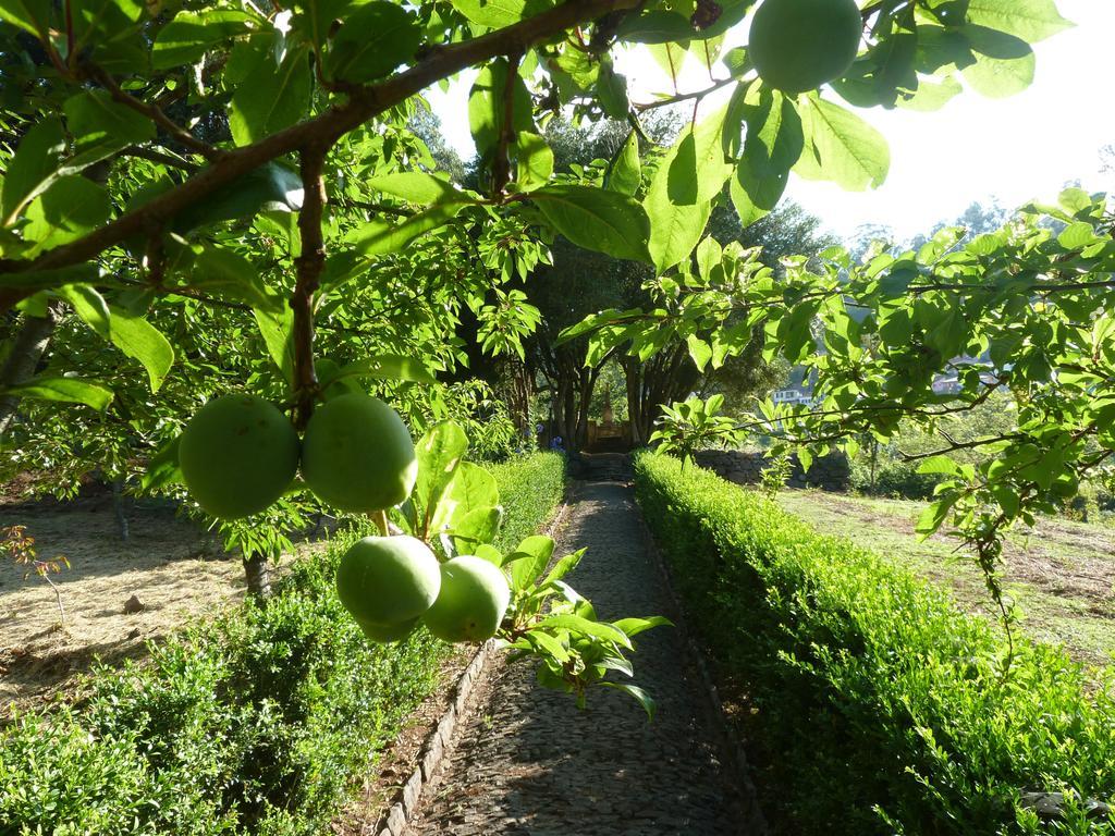 Bio Hotel - Hotel Quinta Da Serra Câmara de Lobos Zewnętrze zdjęcie