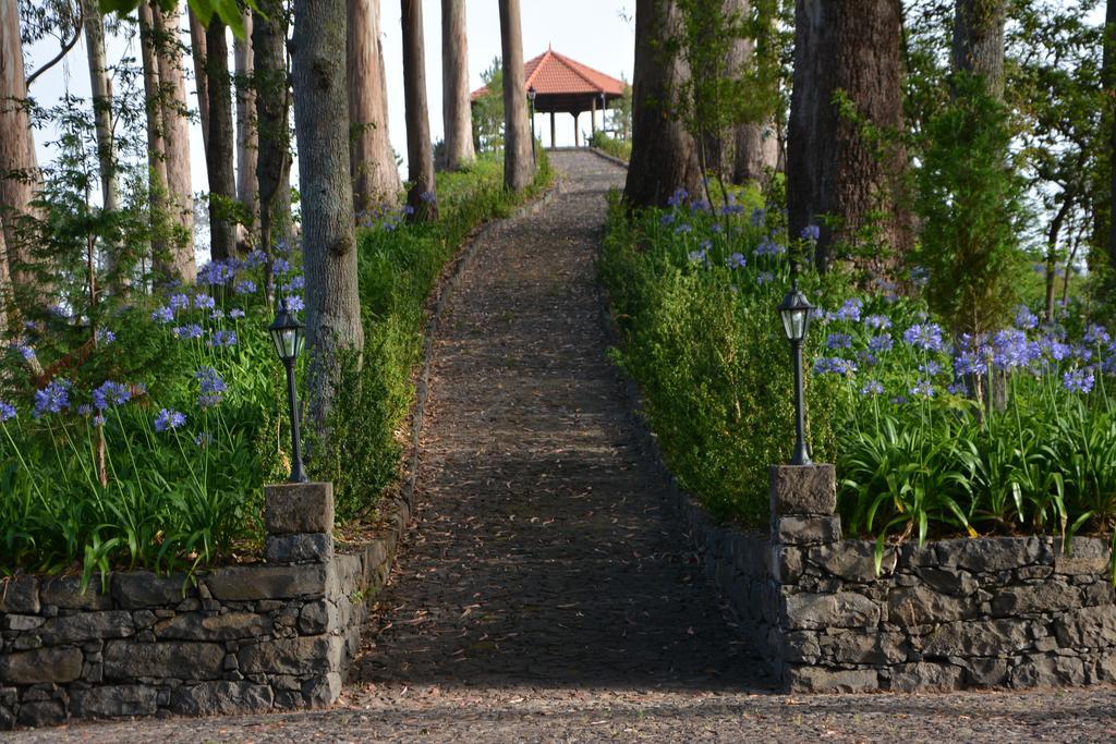 Bio Hotel - Hotel Quinta Da Serra Câmara de Lobos Zewnętrze zdjęcie