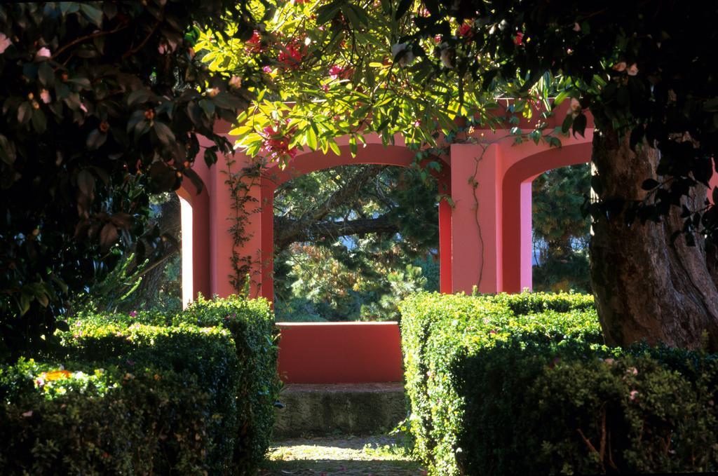 Bio Hotel - Hotel Quinta Da Serra Câmara de Lobos Zewnętrze zdjęcie
