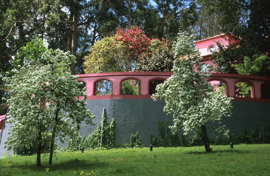 Bio Hotel - Hotel Quinta Da Serra Câmara de Lobos Zewnętrze zdjęcie